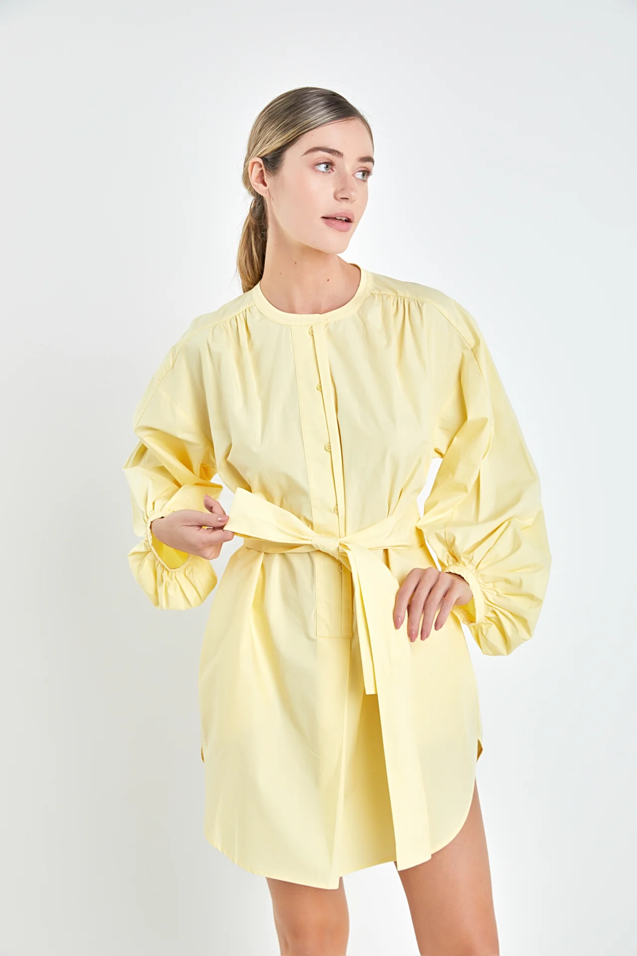 Billow Belted Mini Dress - Image 10